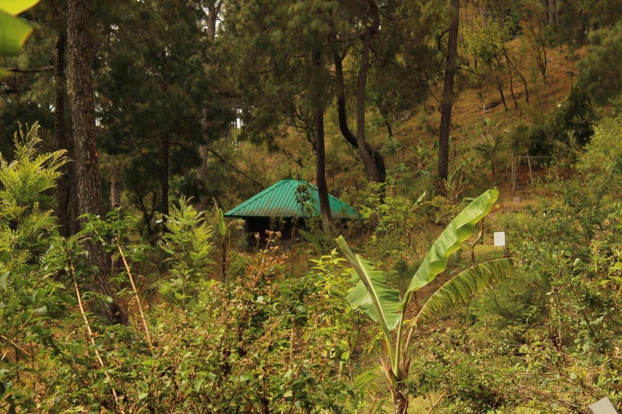 Heal Farm - Himalayan Eco Alternative Lifestyle For Agriculture Recreation And Meditation Nainital Bagian luar foto