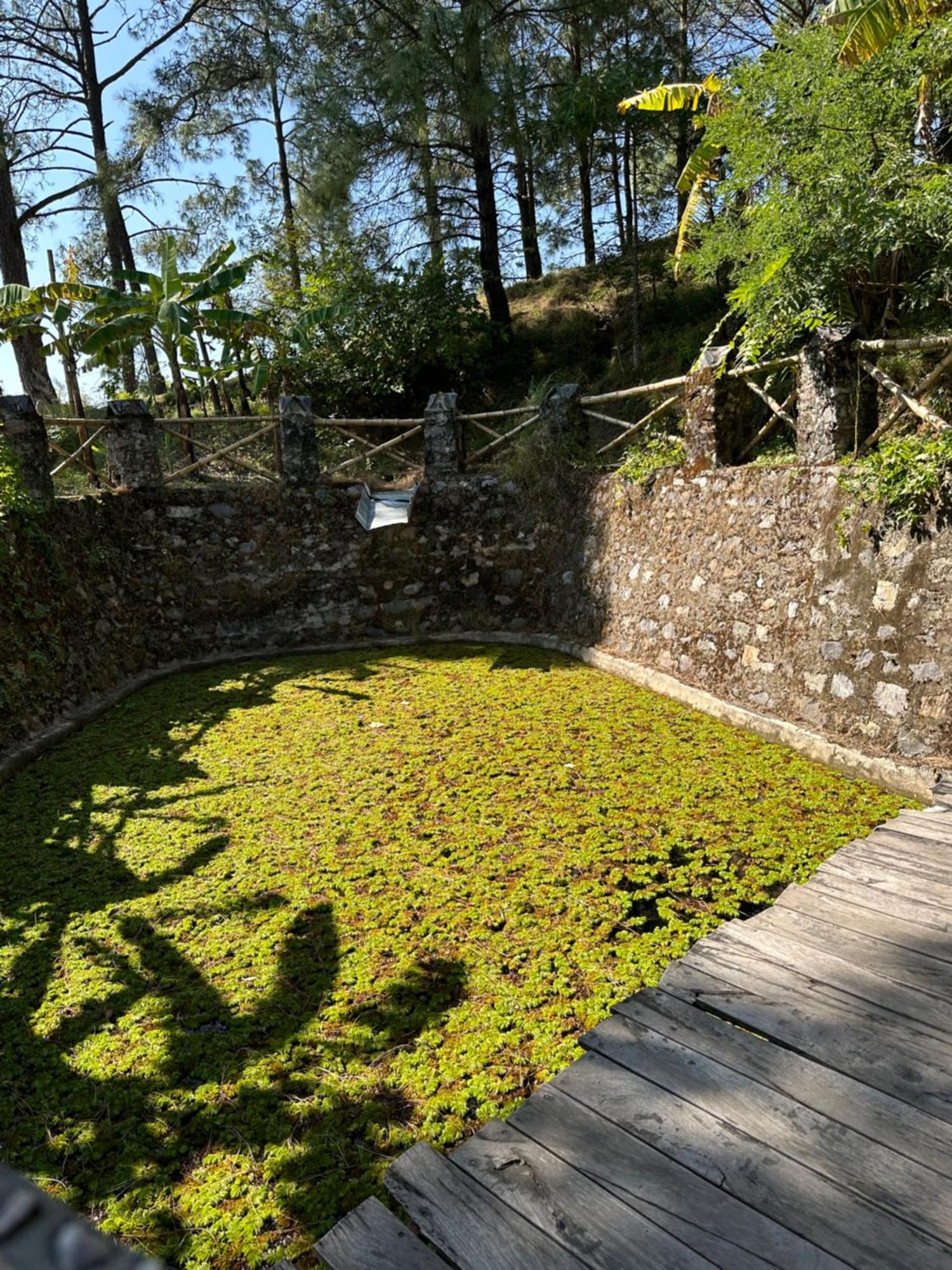 Heal Farm - Himalayan Eco Alternative Lifestyle For Agriculture Recreation And Meditation Nainital Bagian luar foto